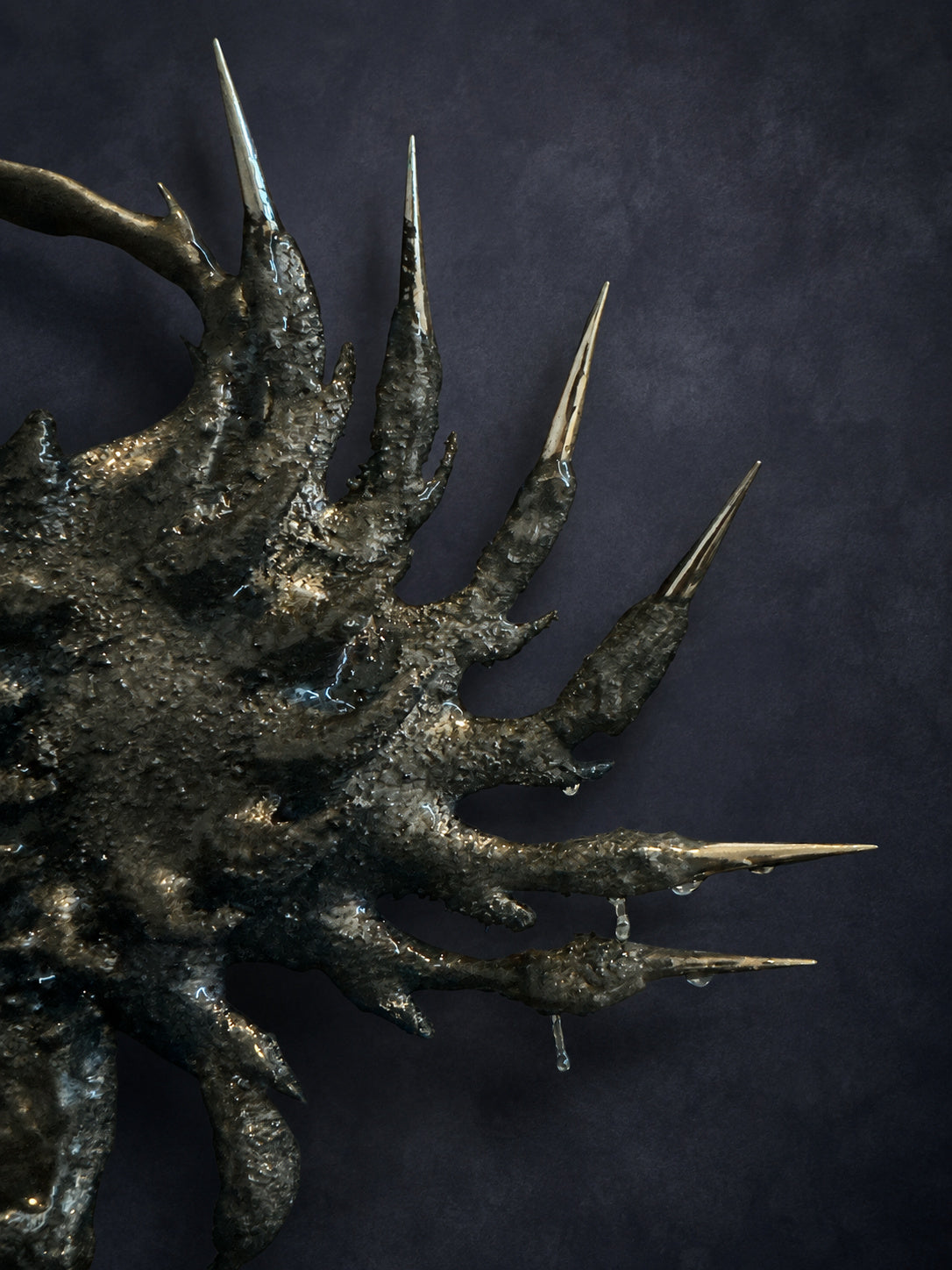 Ocean Katar