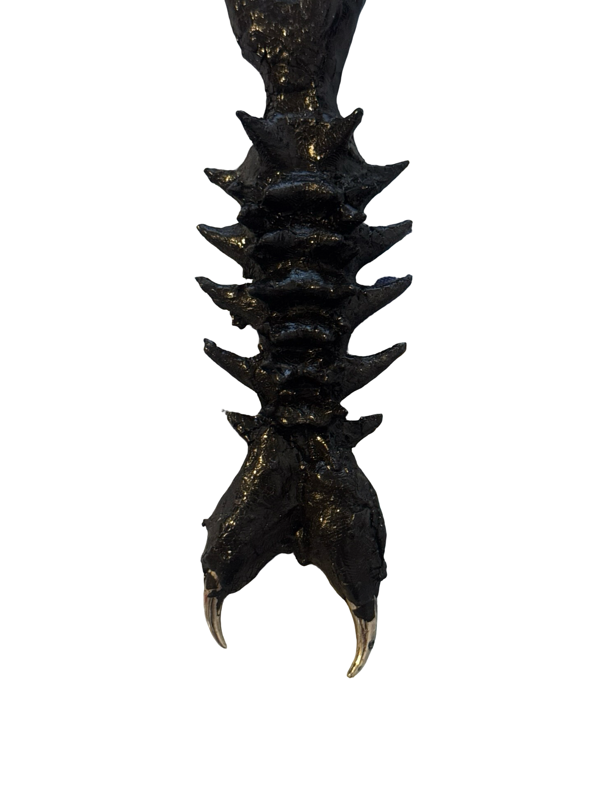 Spine Jaw Talisman Keychain