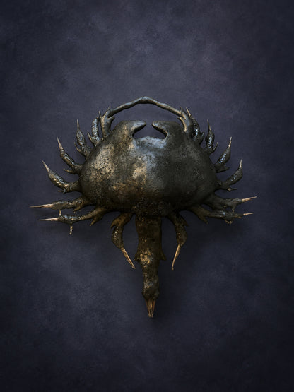 Ocean Katar